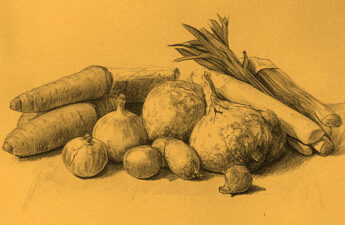 Pencil sketch of veggies on a table